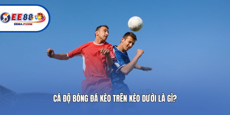 Cá độ bóng đá kèo trên kèo dưới là gì?