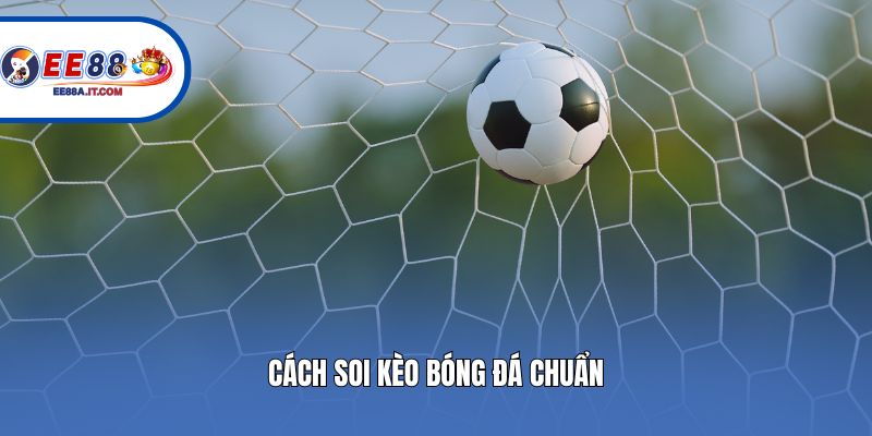 Cách soi kèo bóng đá chuẩn