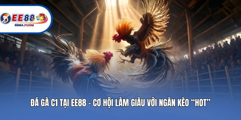 Đá Gà C1 Tại EE88 - Cơ Hội Làm Giàu Với Ngàn Kèo “Hot”