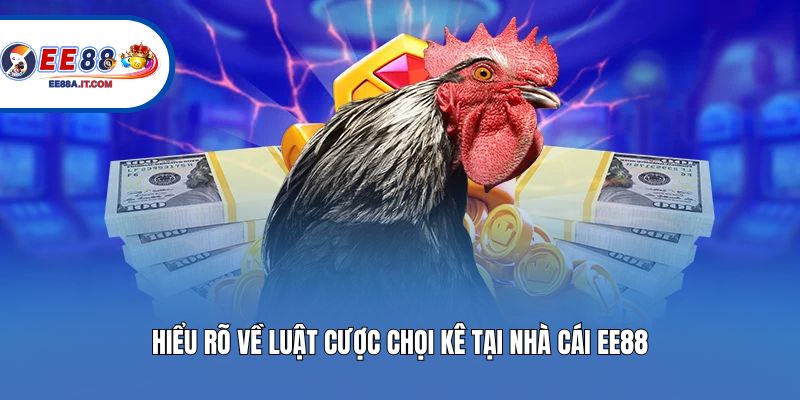 Hiểu rõ về luật cược chọi kê tại nhà cái EE88