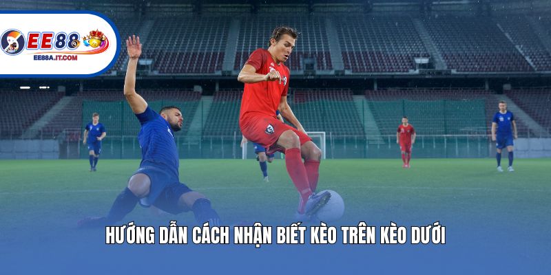 Hướng dẫn cách nhận biết kèo trên kèo dưới