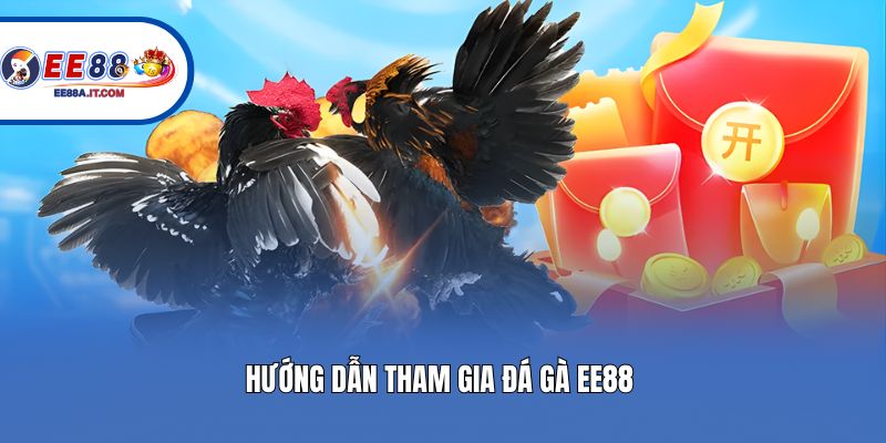 Hướng dẫn tham gia đá gà EE88 