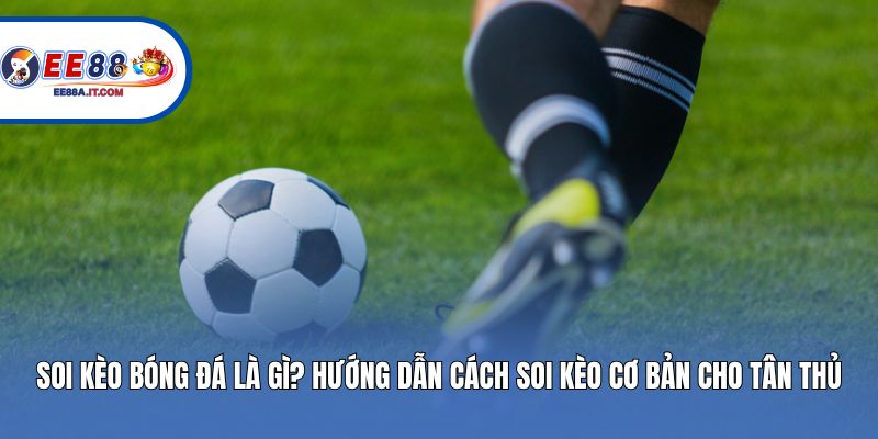 Soi Kèo Bóng Đá Là Gì? Hướng Dẫn Cách Soi Kèo Cơ Bản Cho Tân Thủ