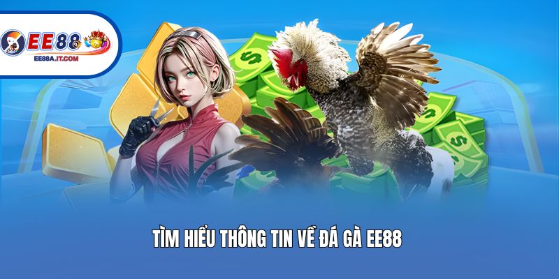 Tìm hiểu thông tin về đá gà EE88 
