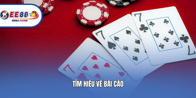 Tìm hiểu về bài cào